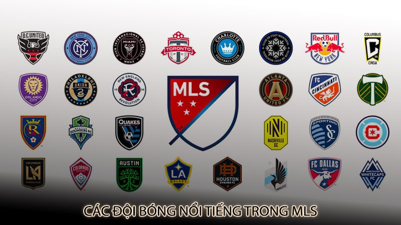 Các đội bóng nổi tiếng trong MLS